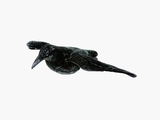 Corbeau à plumes complètes avec des ailes