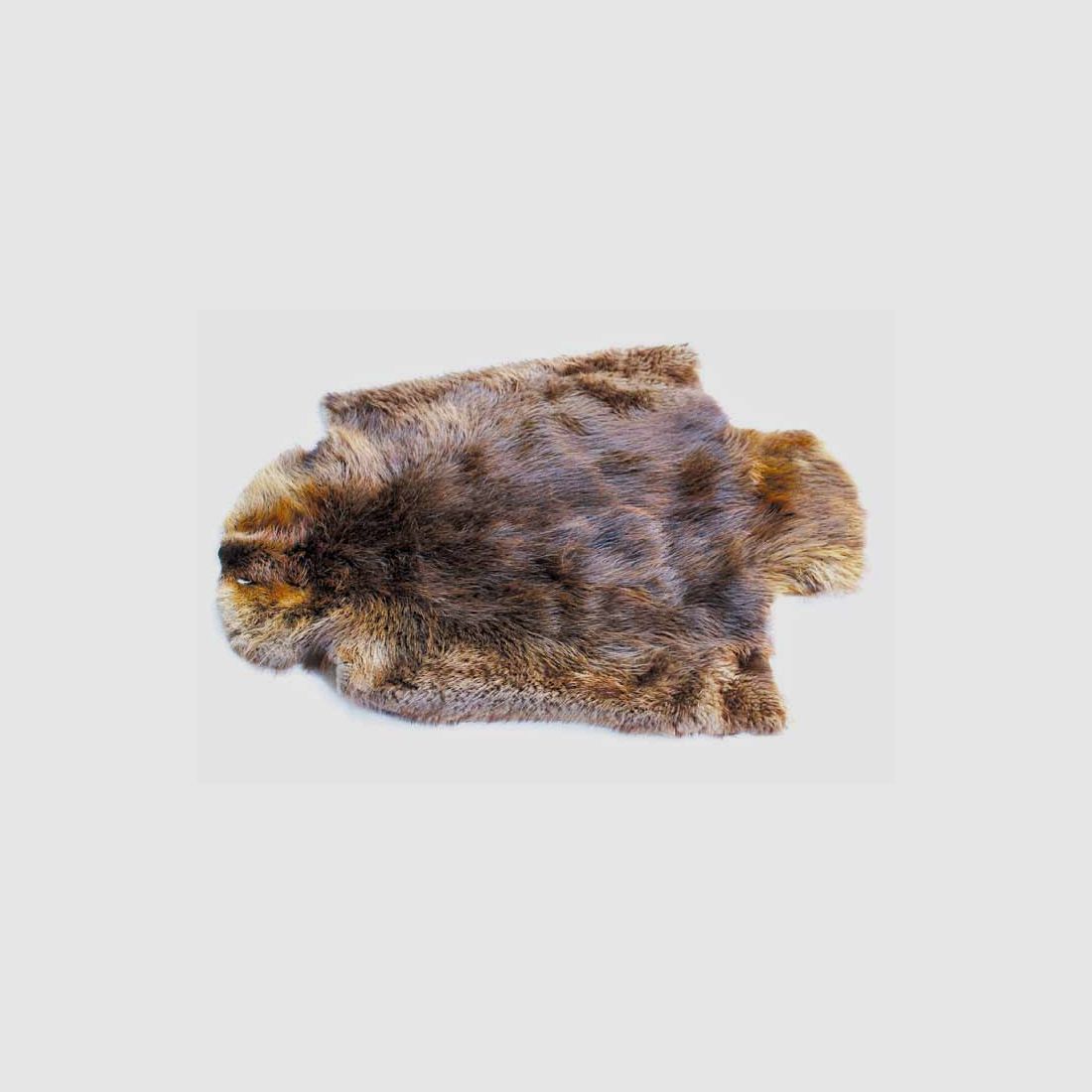 American beaver fur