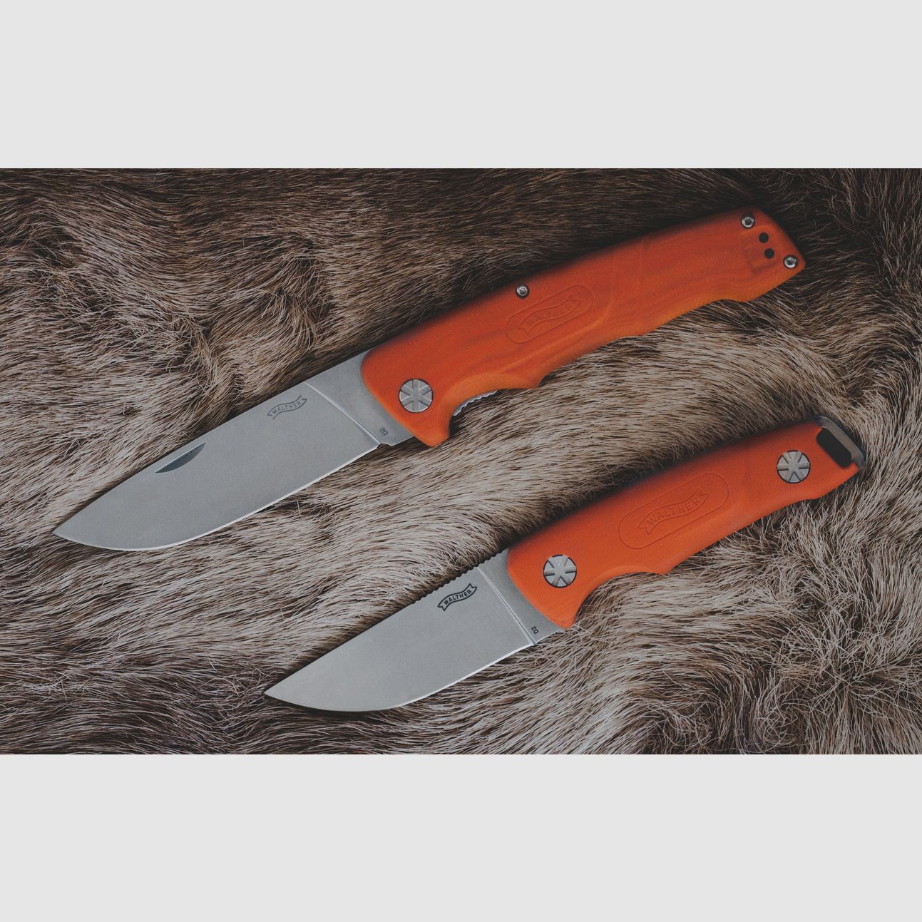 Couteau Walther HBF 1 Vollerl