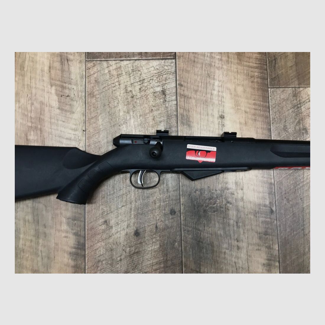 Savage 25 WALKING VARMINTER .17Hornet
