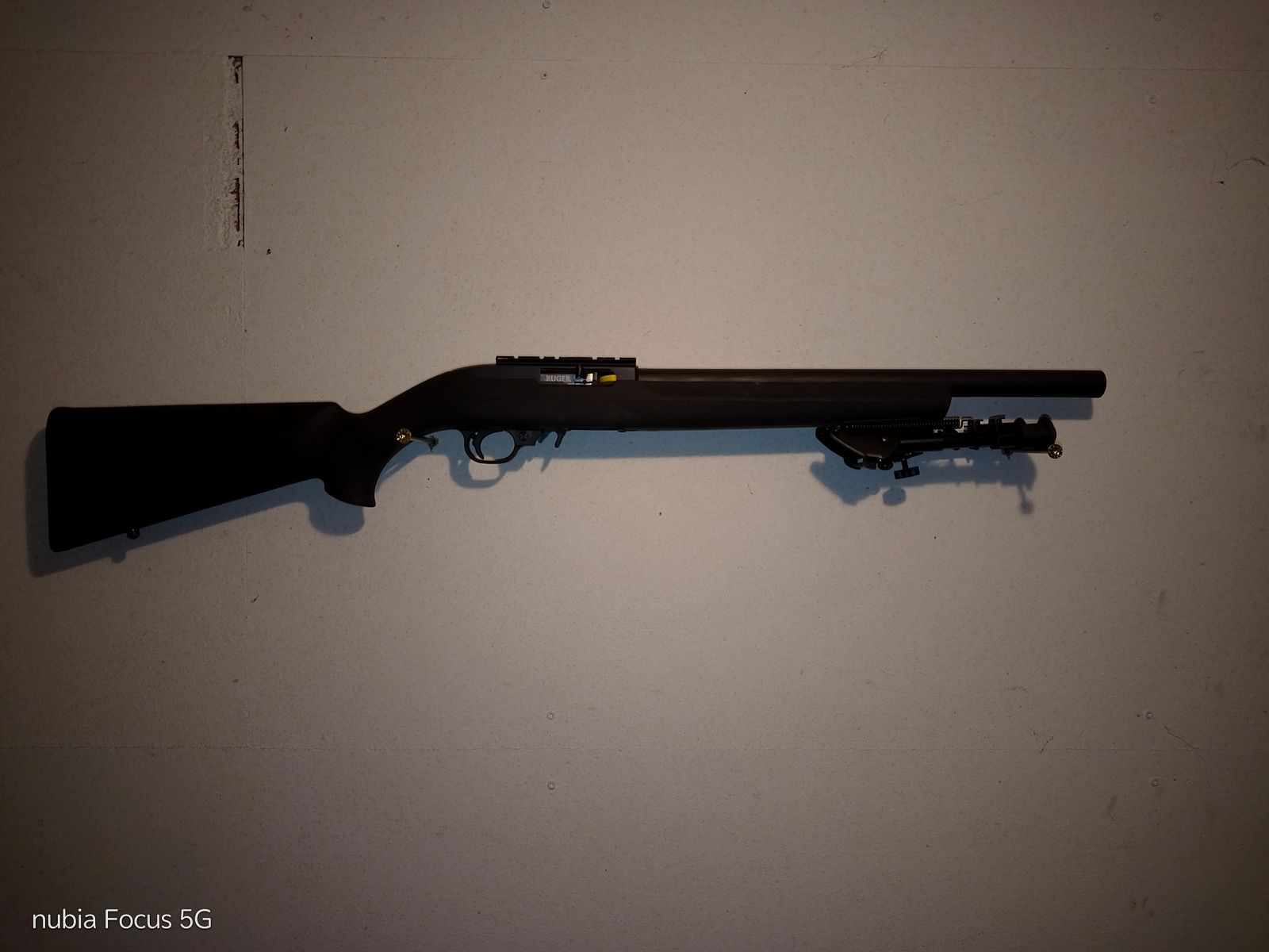 Ruger 10/22 