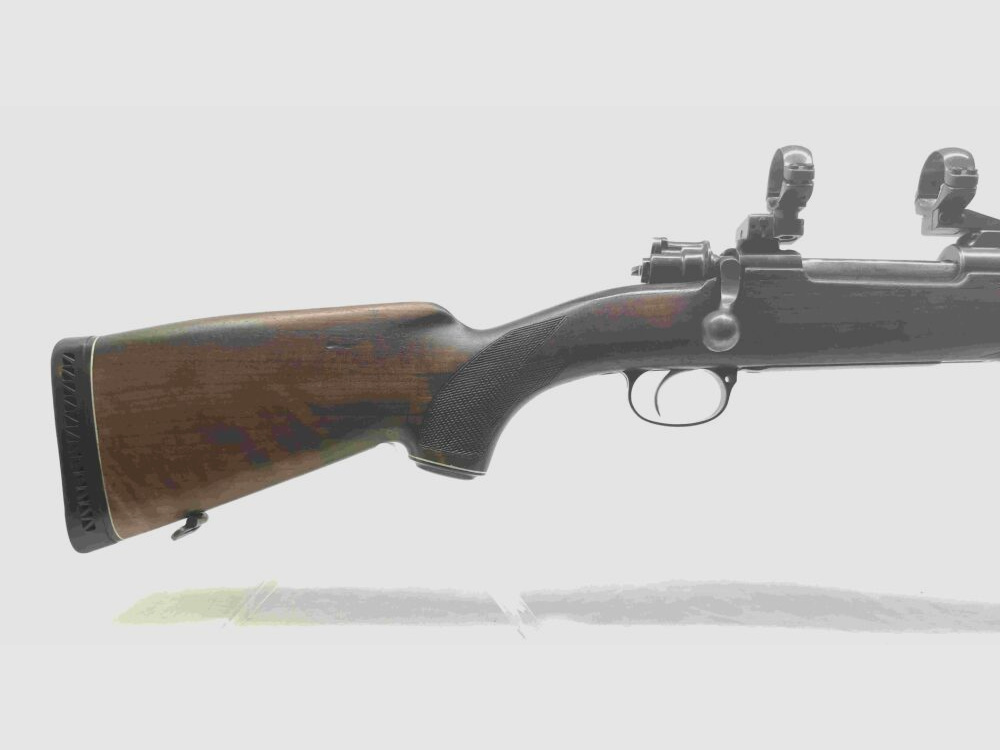 Système Frankonia 98