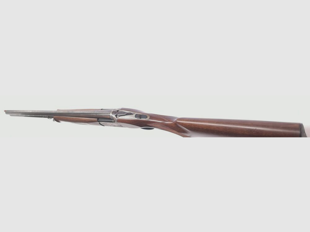 Rizzini AT 605