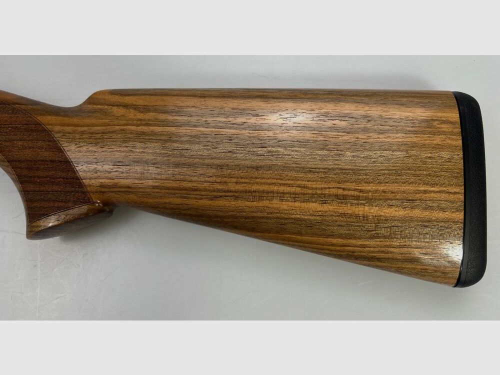 Blaser F16 Game