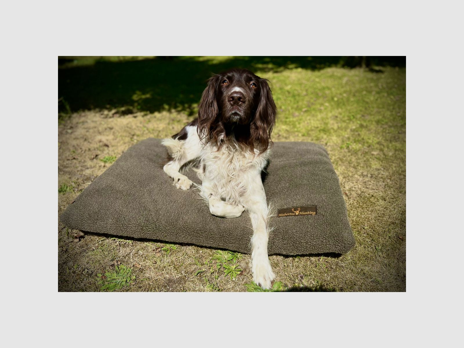 HUBERTUS Faserpelz Hundedecke 70x100cm oliv