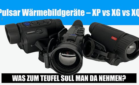 Das Pulsar Axion 2 XG35 LRF – Was zum Teufel soll man denn da nehmen, XP, XG oder XP?
