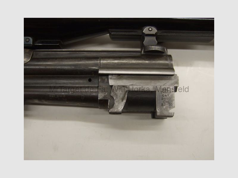 Sabattii z ZF SWAROVSKI 6x42 krzyż 1
