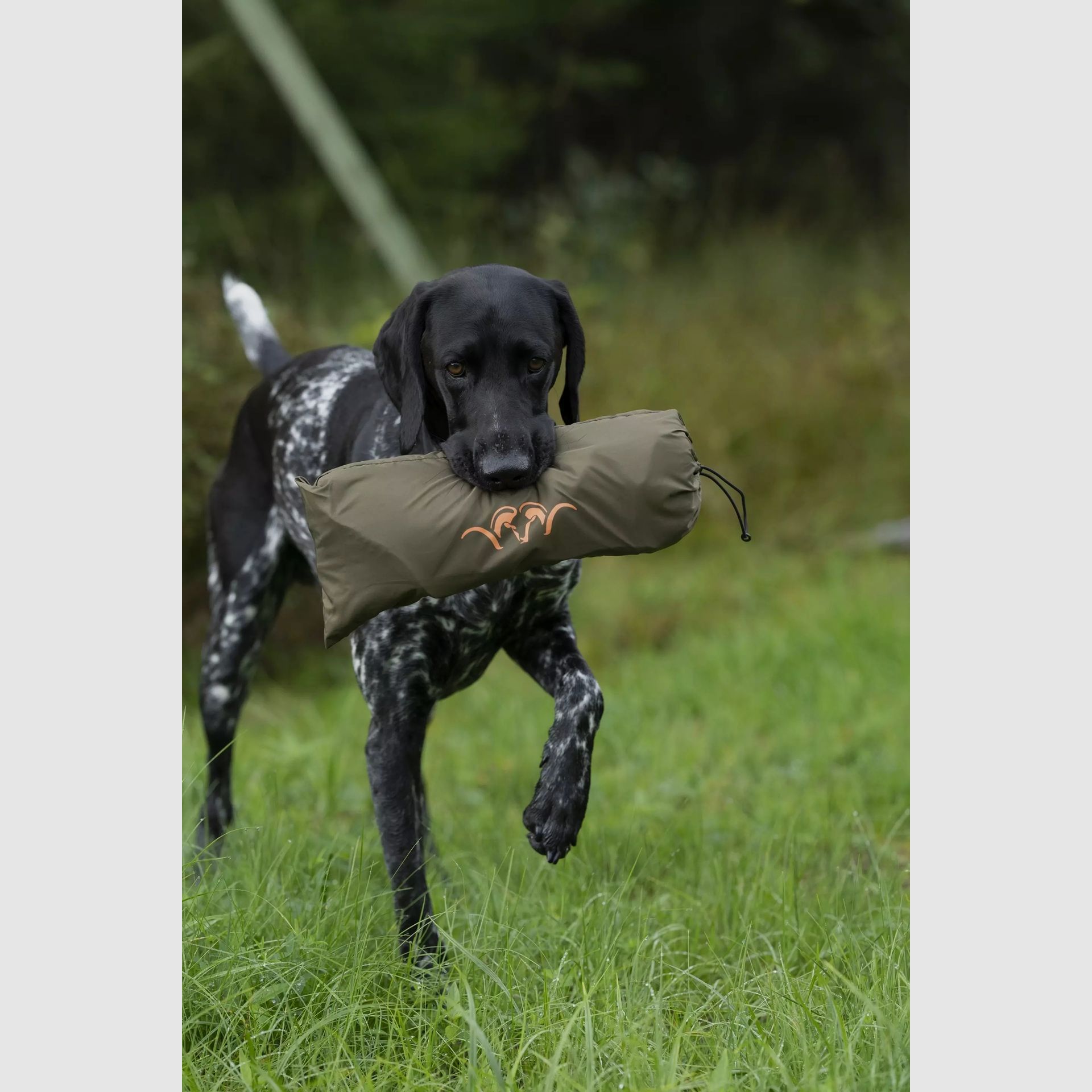 Blaser Hundedecke/-matte Huntec Camo, Bild 4 von 6