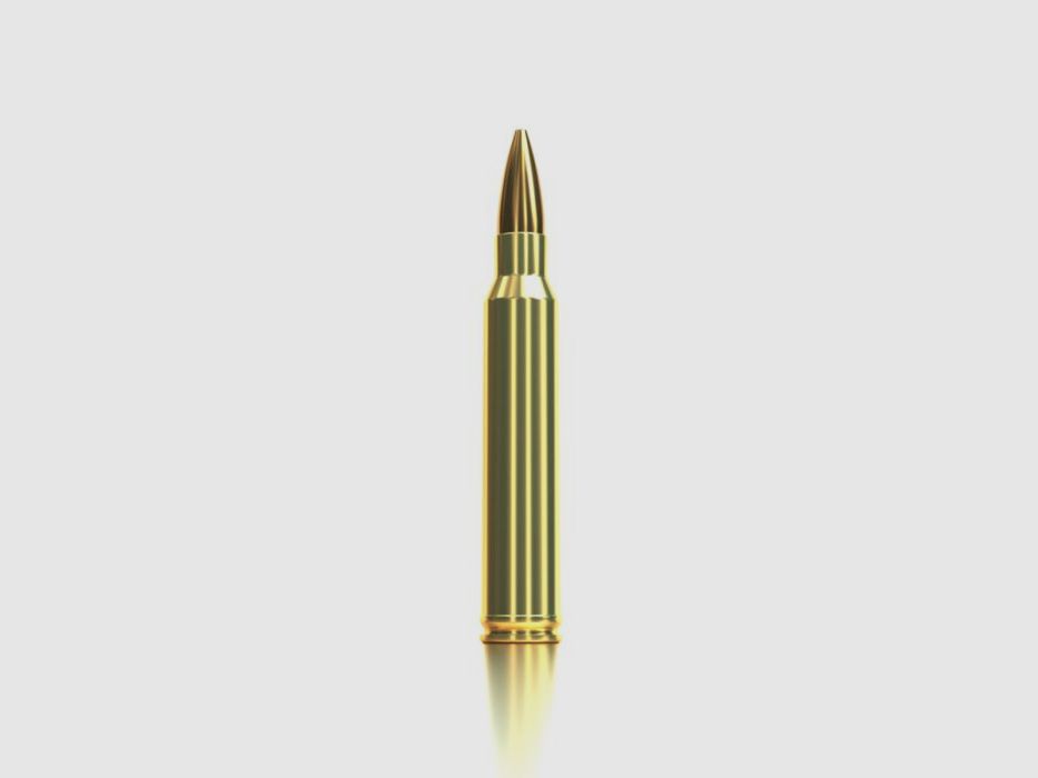 S&B .300 Win. Mag. HPBT 10,9g/168gr, image 3 sur 4