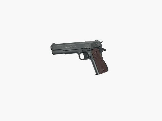 Dan Wesson Valor