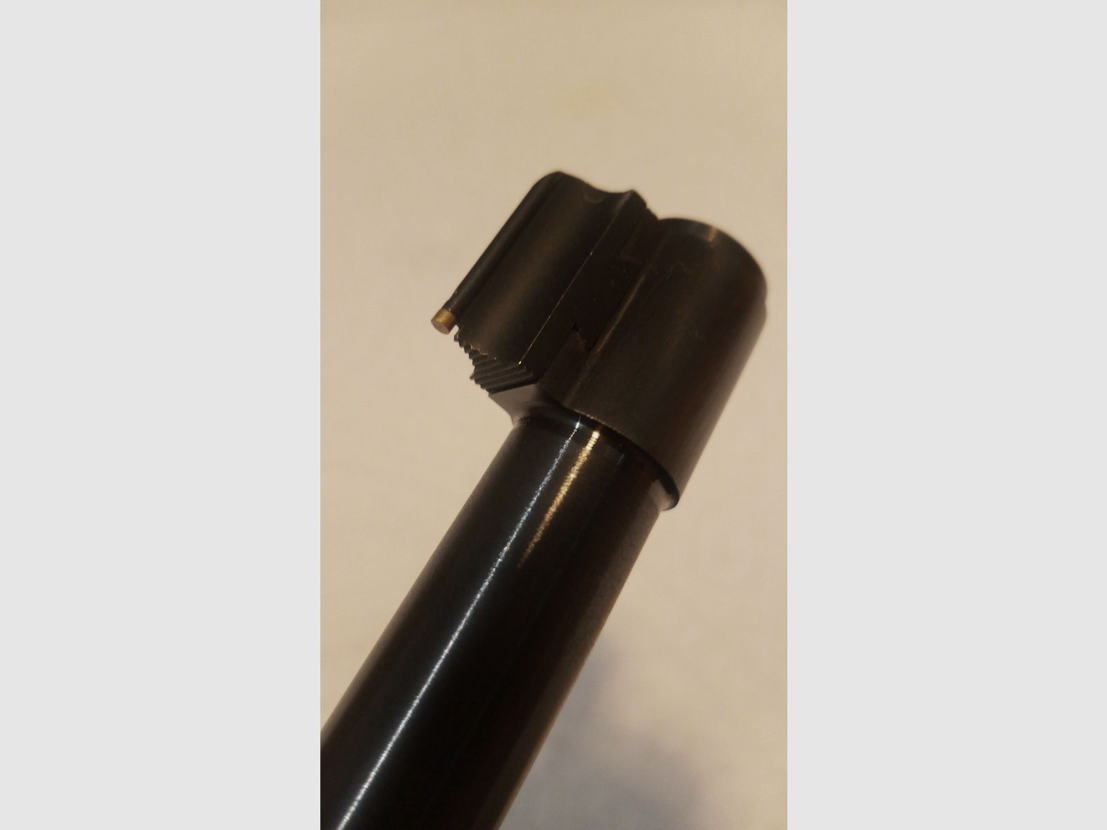 Ruger Carbine 10/22 in .22 lfB gebraucht