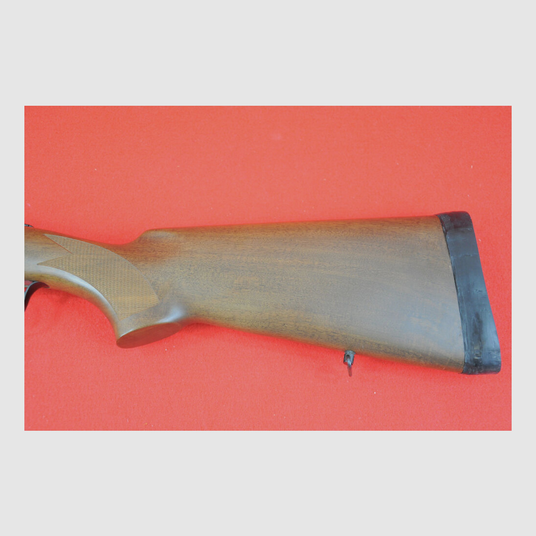 Rizzini Albion