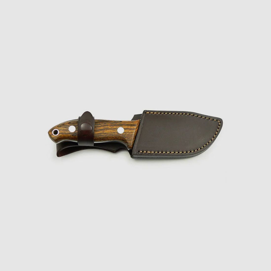 PUMA IP el turón bocote