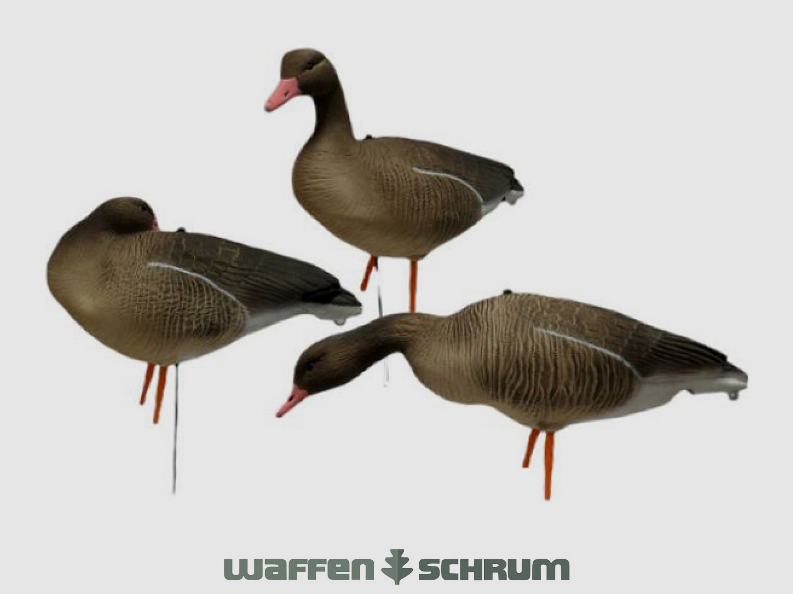 JVS Global Outdoor Wabiki Gęsi Szarych Pełne Ciało 6 Pak