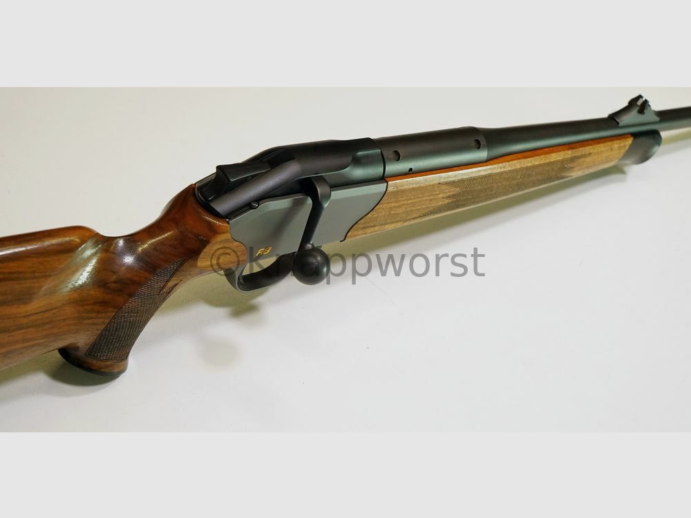 Blaser-Waffen	 Blaser R8