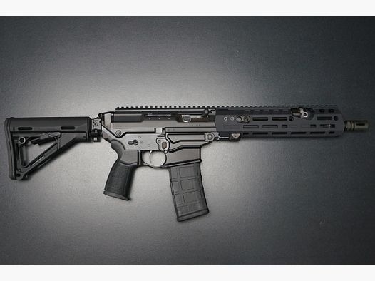 Sig Sauer SG563 LB