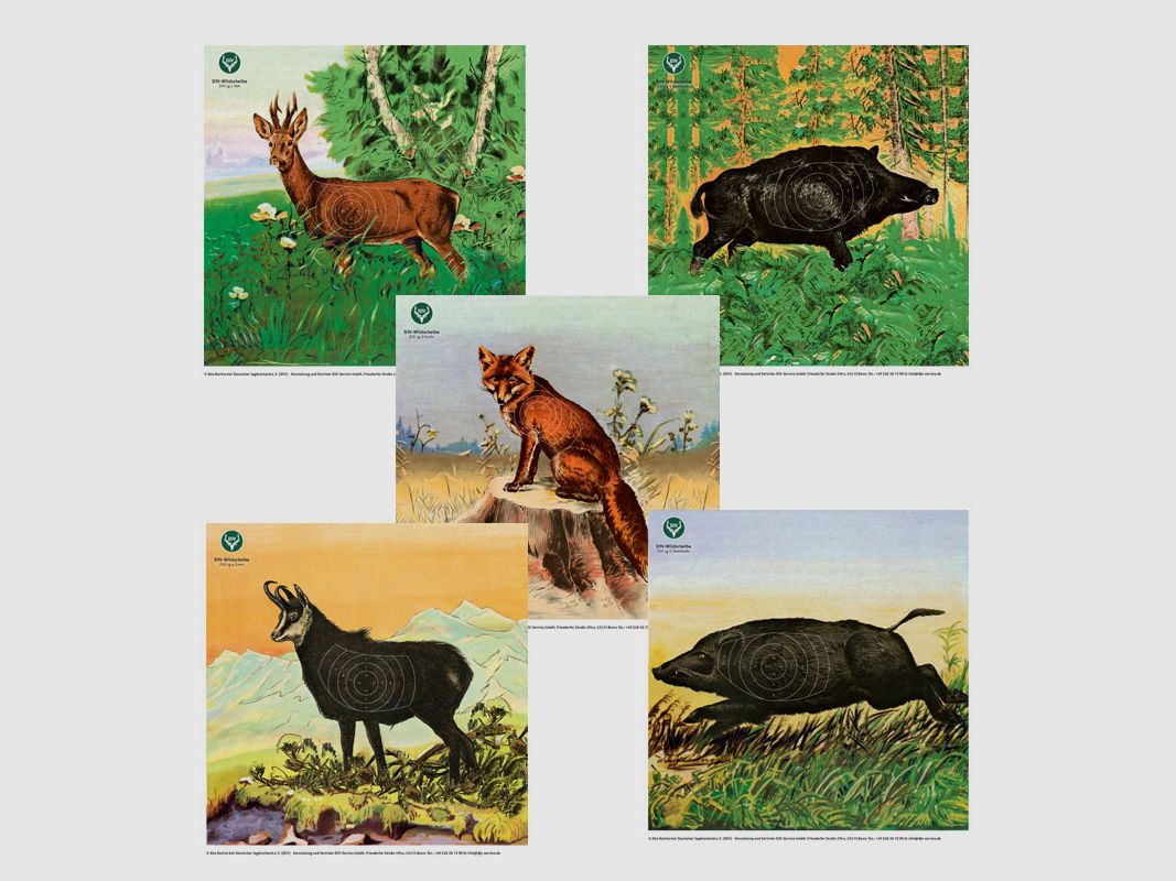 DJV-Luftgewehrscheibe Set Nr. 1-5 (10m, 5 Motive, 100 Stück)