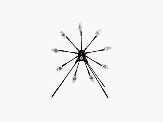 DIANAS SIG SAUER TEXAS STAR TARGET