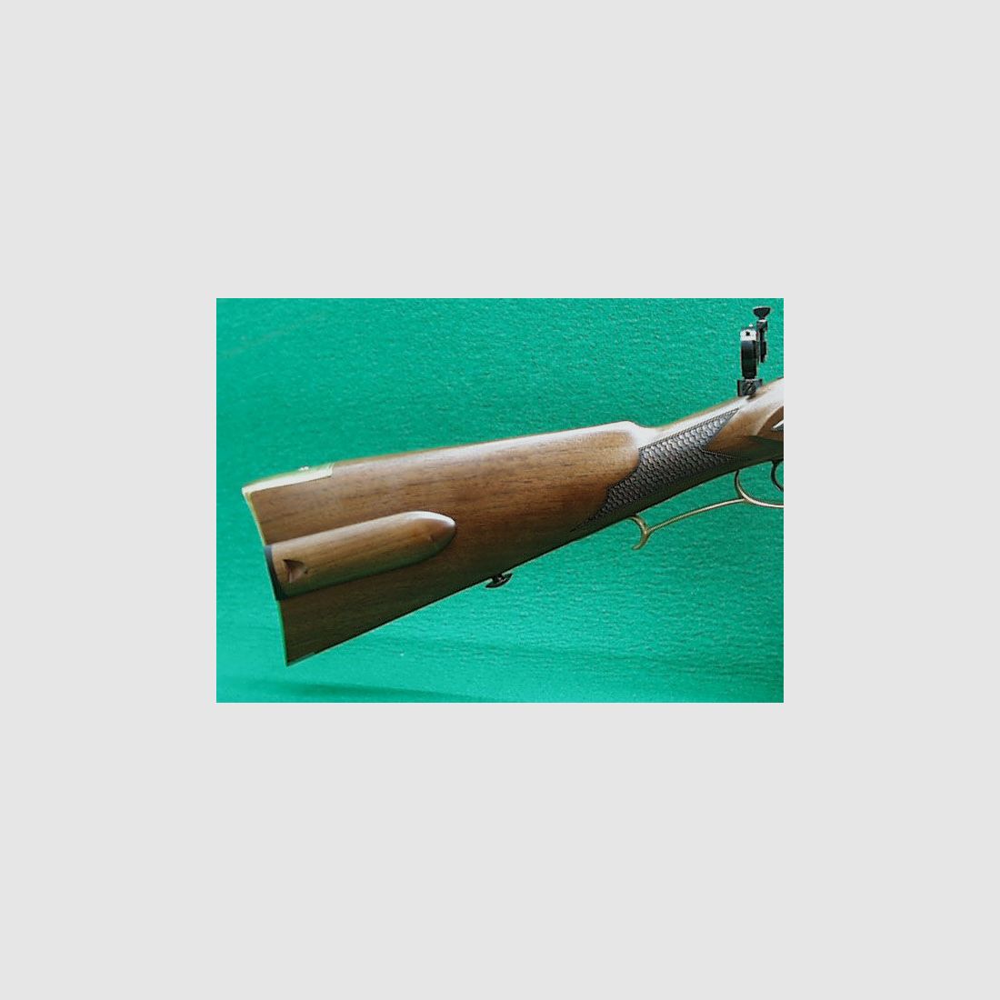 Pedersoli Jäger Target mit Diopter