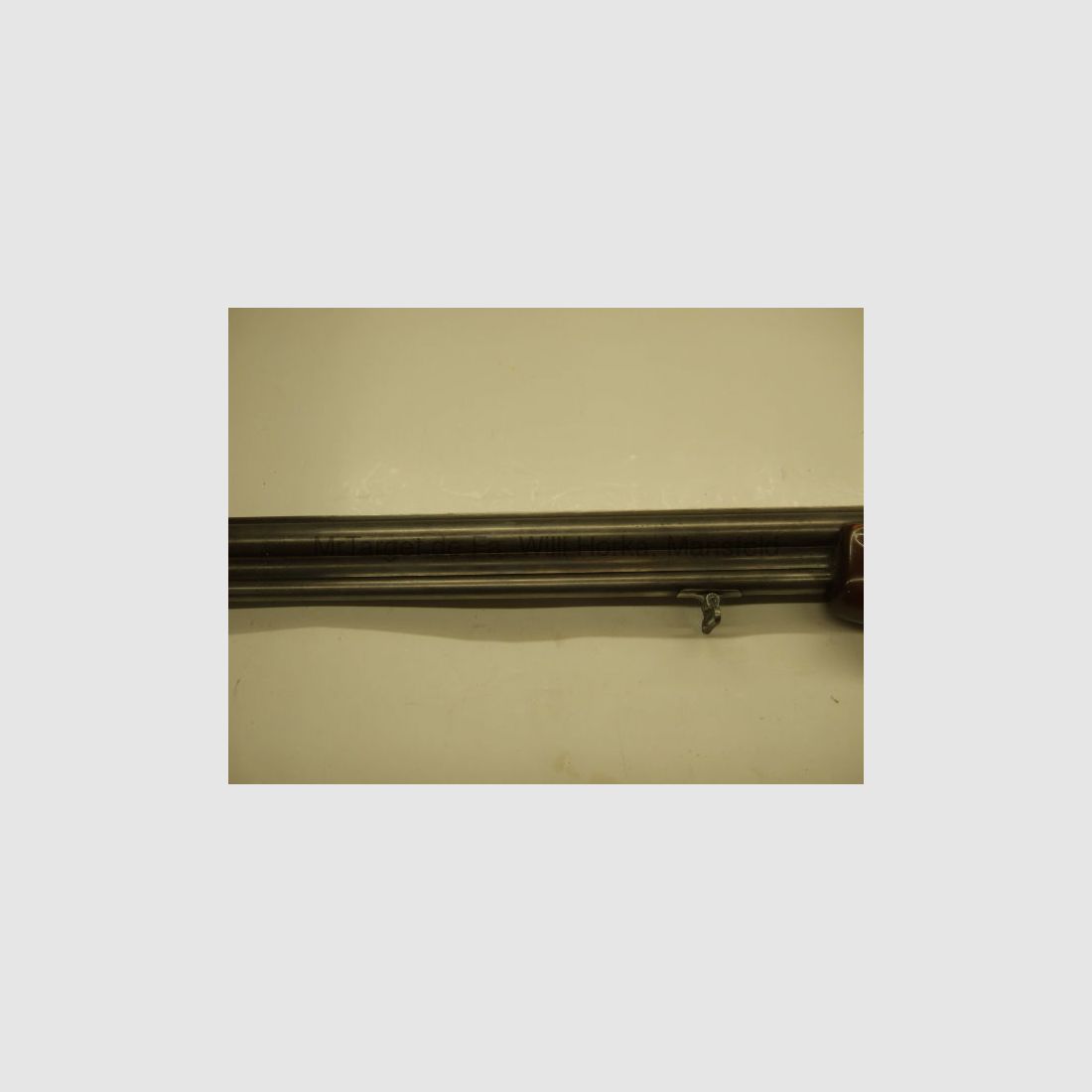 Sabattii avec ZF SWAROVSKI 6x42 réticule 1