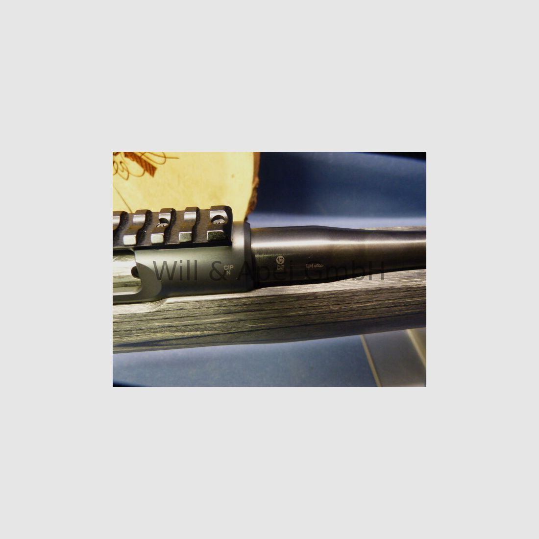 Sauer & Sohn Sauer 100