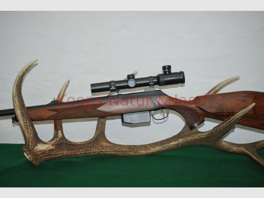 Sauer 202 Forest