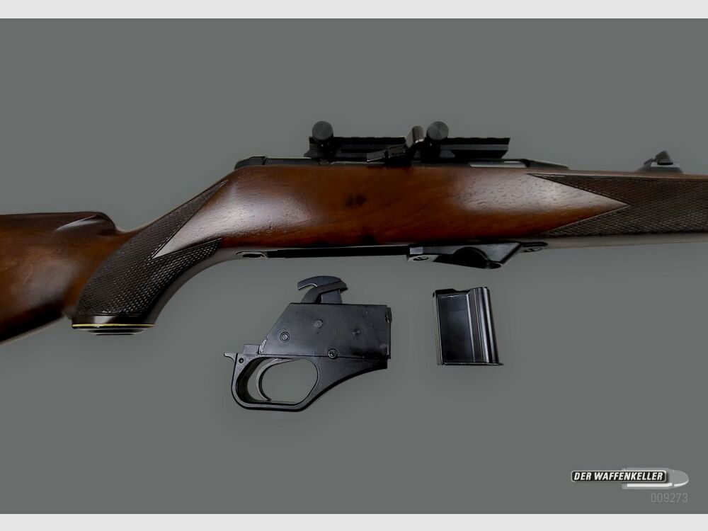 Heckler & Koch HK 300