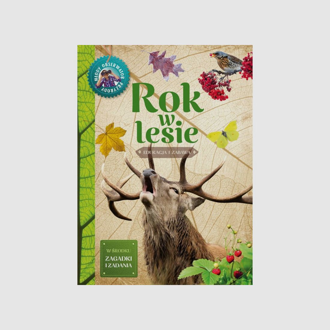 Jeune observateur de la nature – Une année en forêt