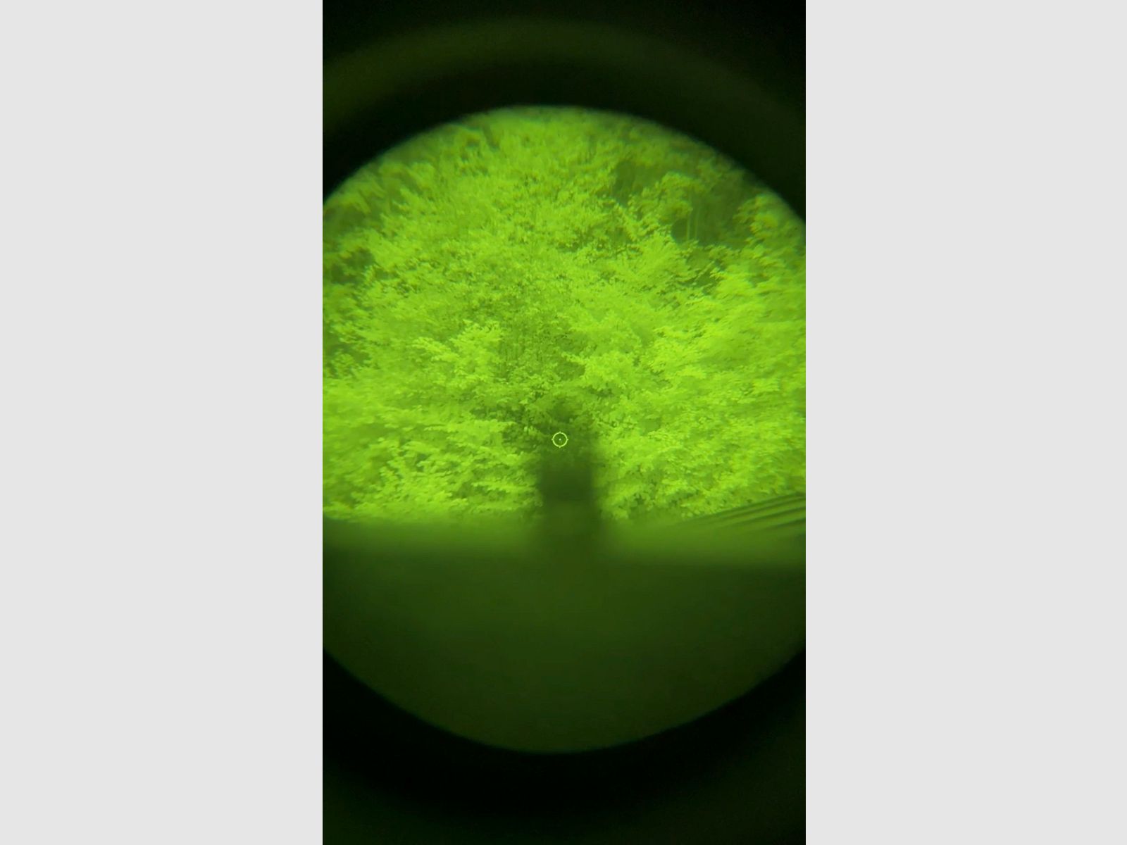 HOLOSUN 510C ROT 