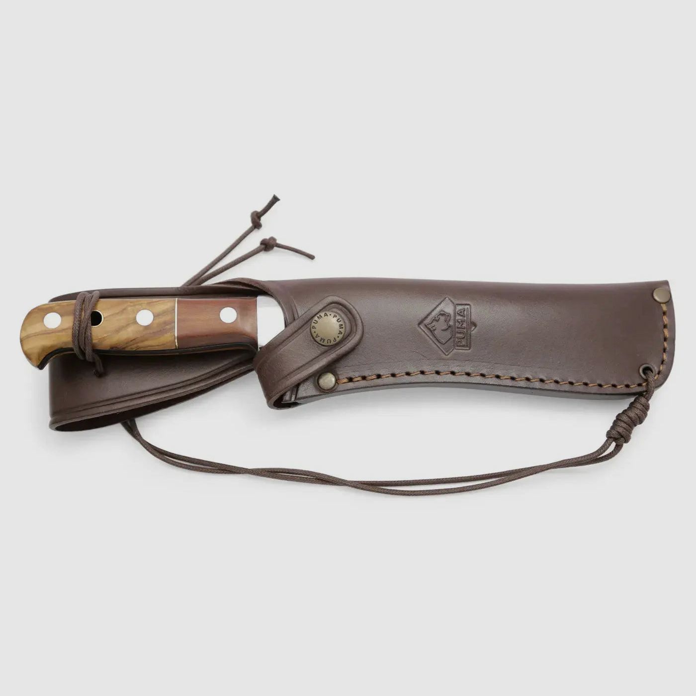 PUMA chasseur blanc, lion