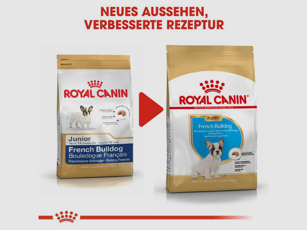 ROYAL CANIN Französische Bulldoggen Trockenfutter Welpen