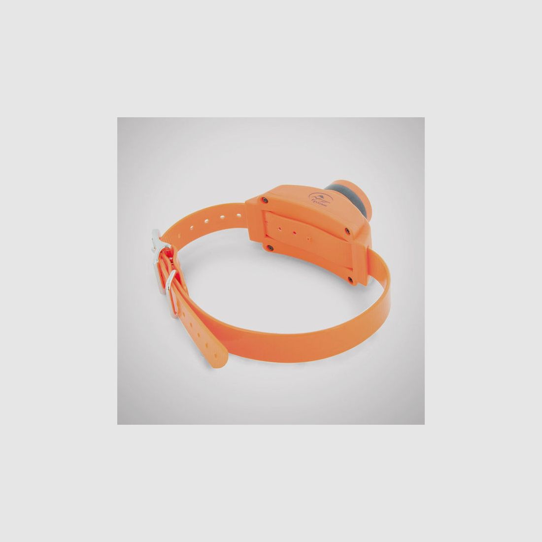 Collier de repérage SportDog Beeper