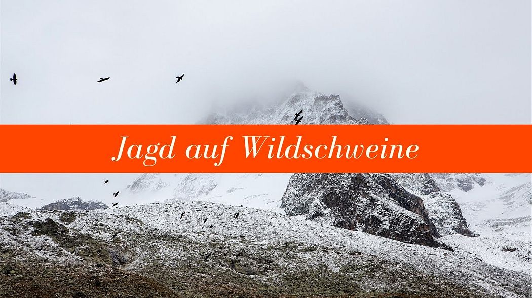 Jagd auf Wildschweine