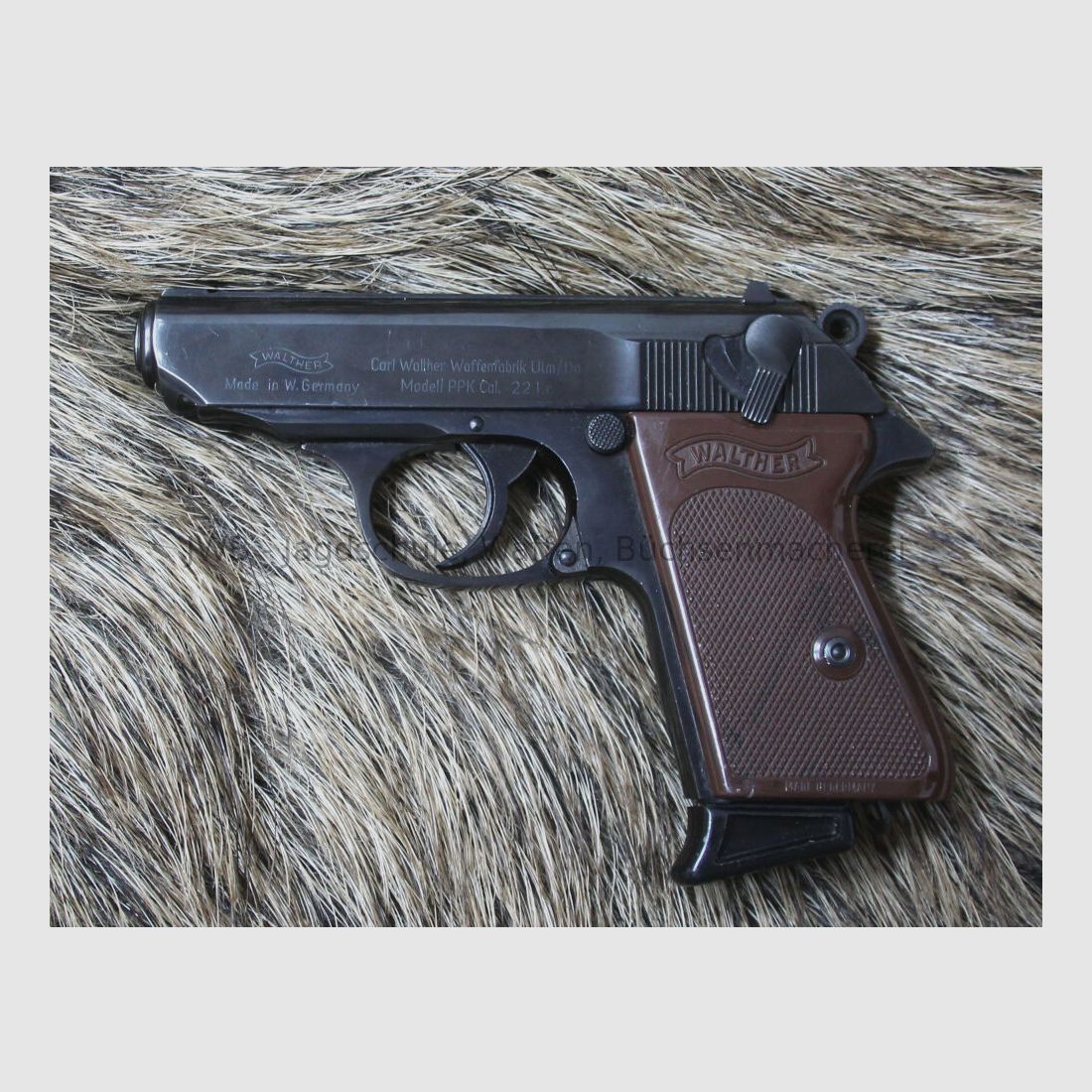 Walther PPK Kaliber .22 lr