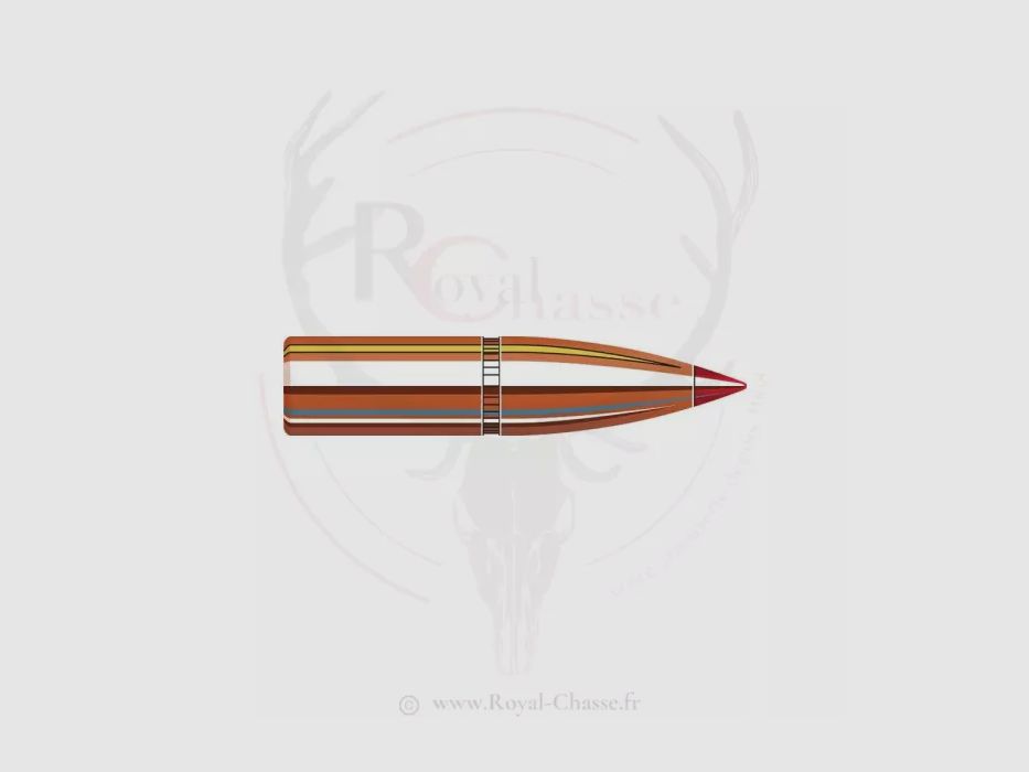 100 ogives Cal.25 D.257 117Grs SST HORNADY, image 2 sur 2