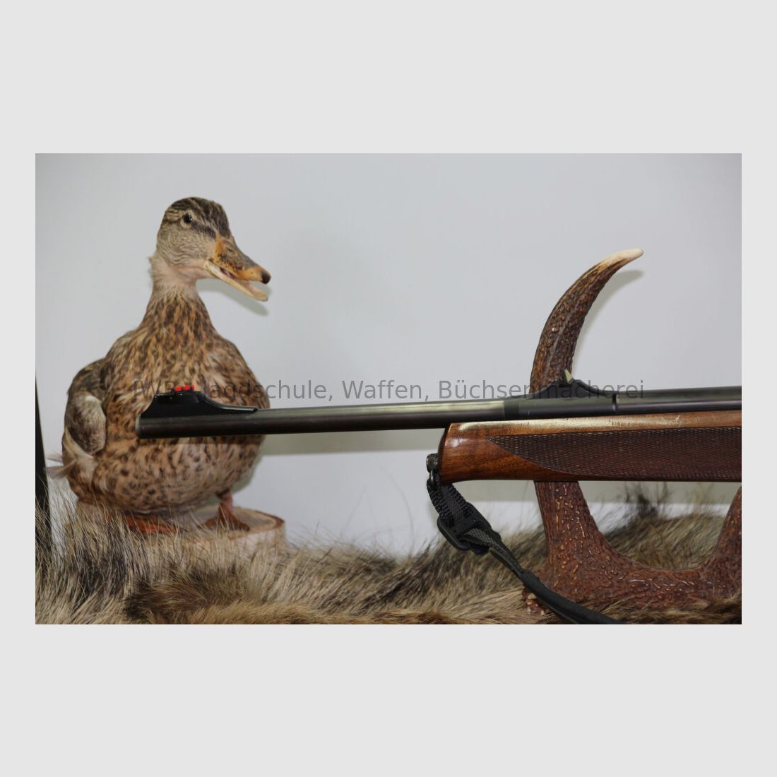 Sauer 303 mit Aimpoint 5000 303 Classic