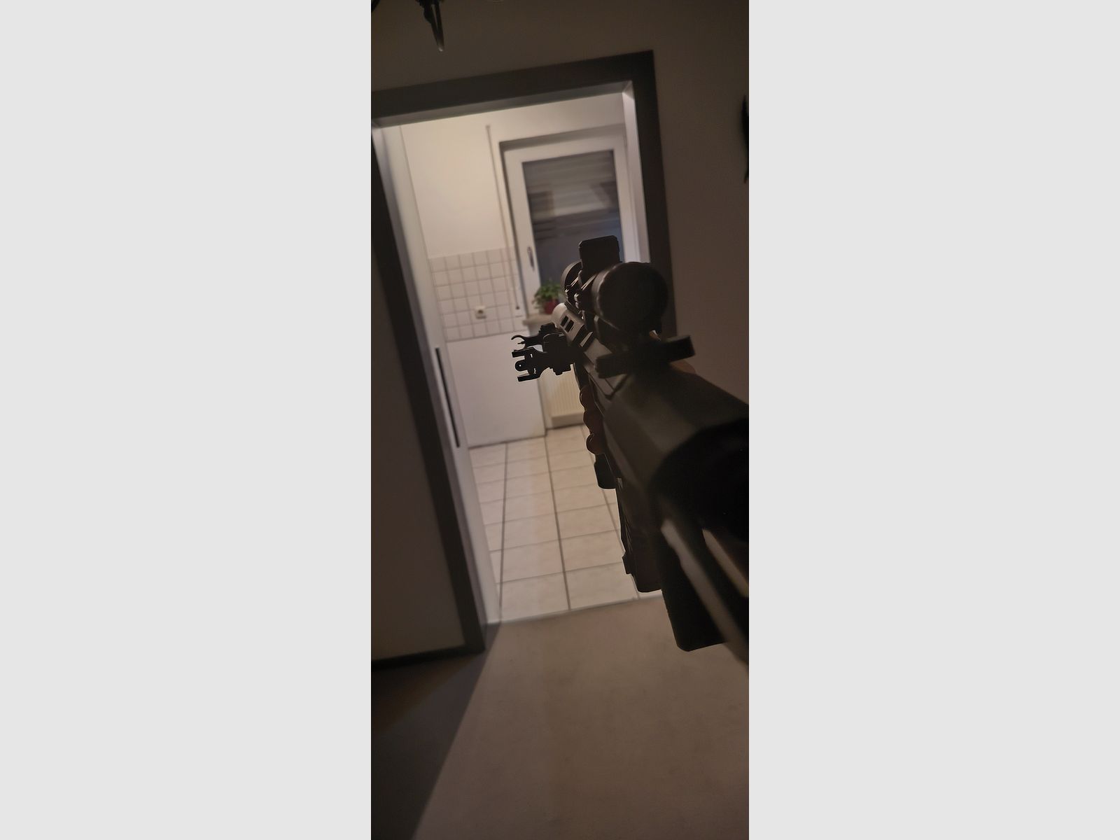 M4 Amoeba EFCS