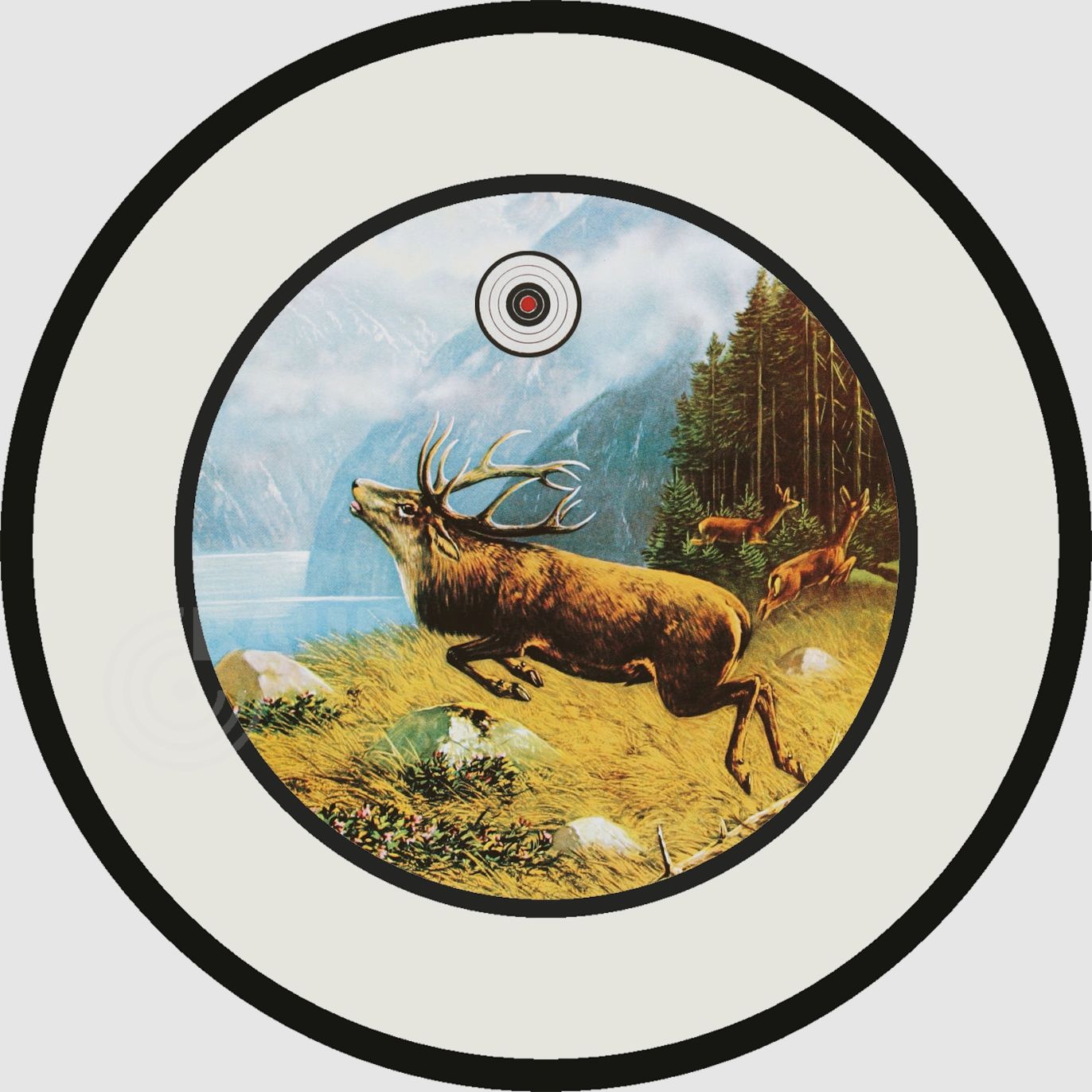 Cible de tir Outdoor-Line Motif 149, image 2 sur 4