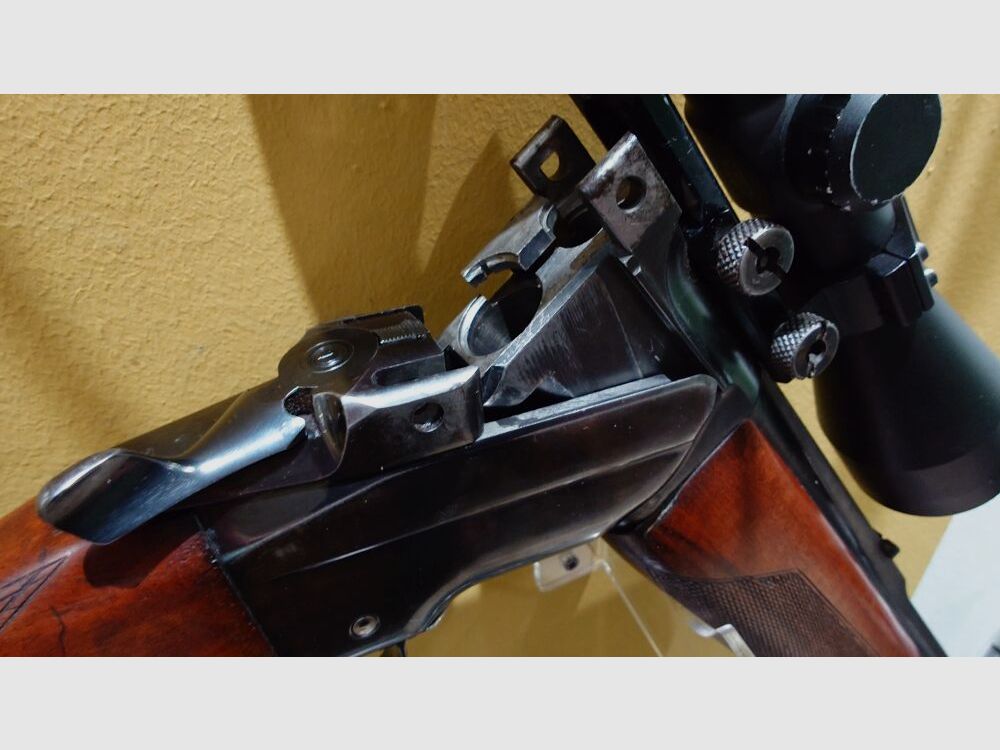 CZ ZH 301