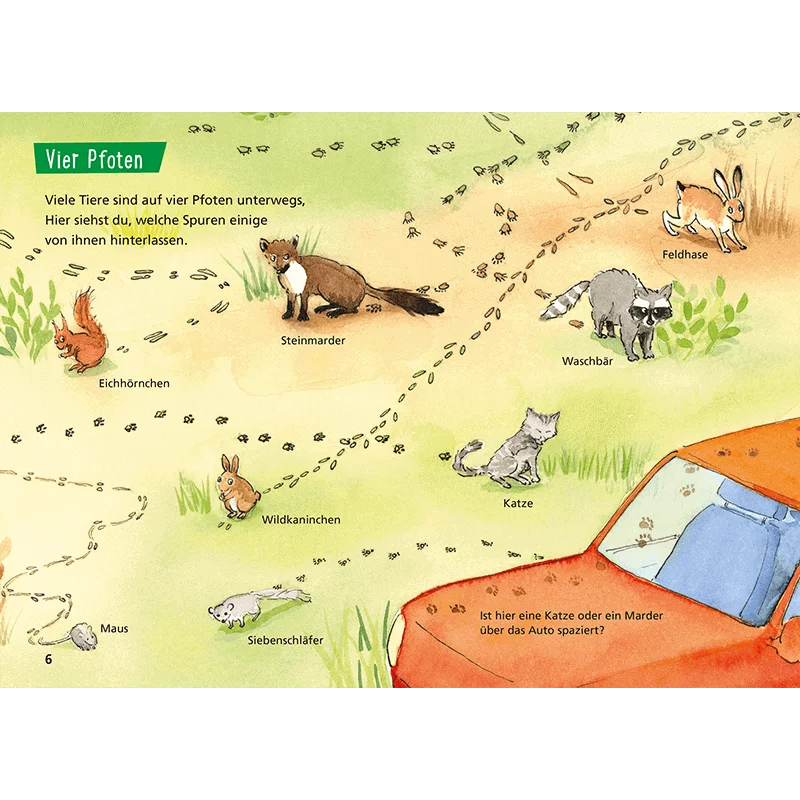 Livre pour enfants "Pixi Savoir 107: Traces d'animaux", image 2 sur 3