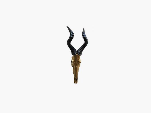 Trofeo Kunst Dekor Rote Hartebeest
