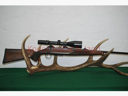 Sauer 200