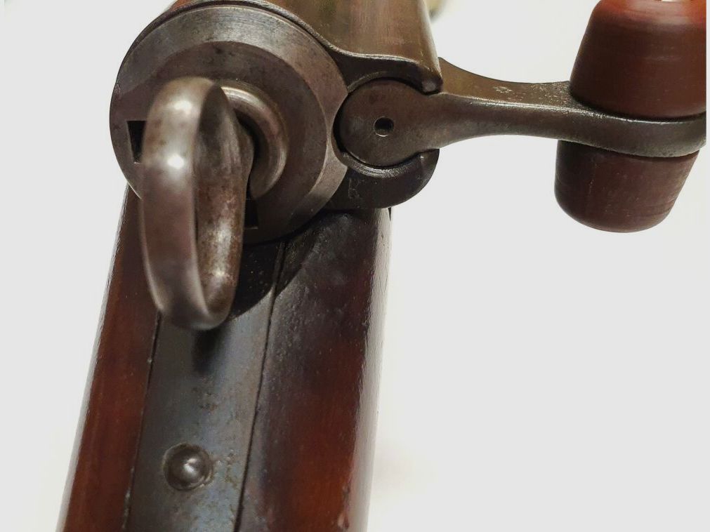 Waffenfabrik Bern Einzellader, Waffenfabrik Bern Infanteriegewehr 1889, Kal. 22L.r.