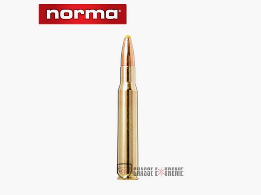 20 Nabojów NORMA Kal. 30-06 Sprg 180 Gr Z plastikowym czubkiem