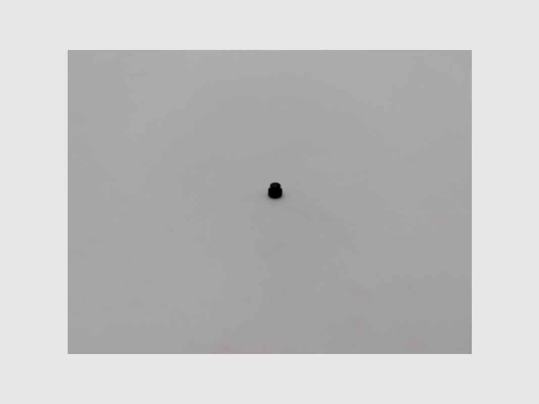 Tanfoglio Front Pin für Multidot Platte