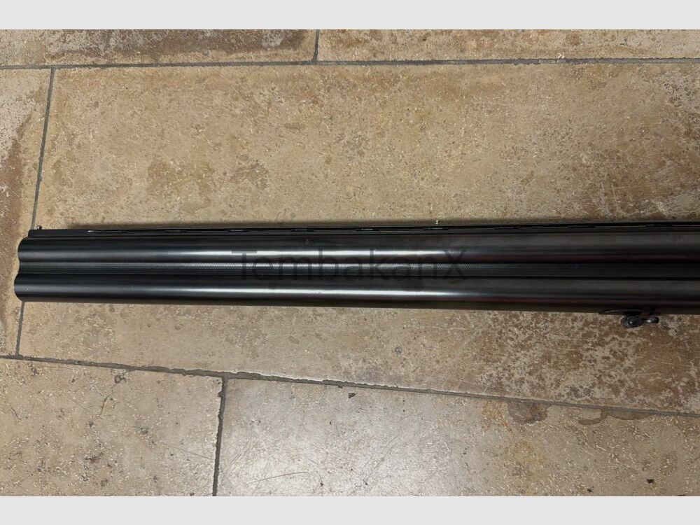 Sauer Beretta S56E 12/70