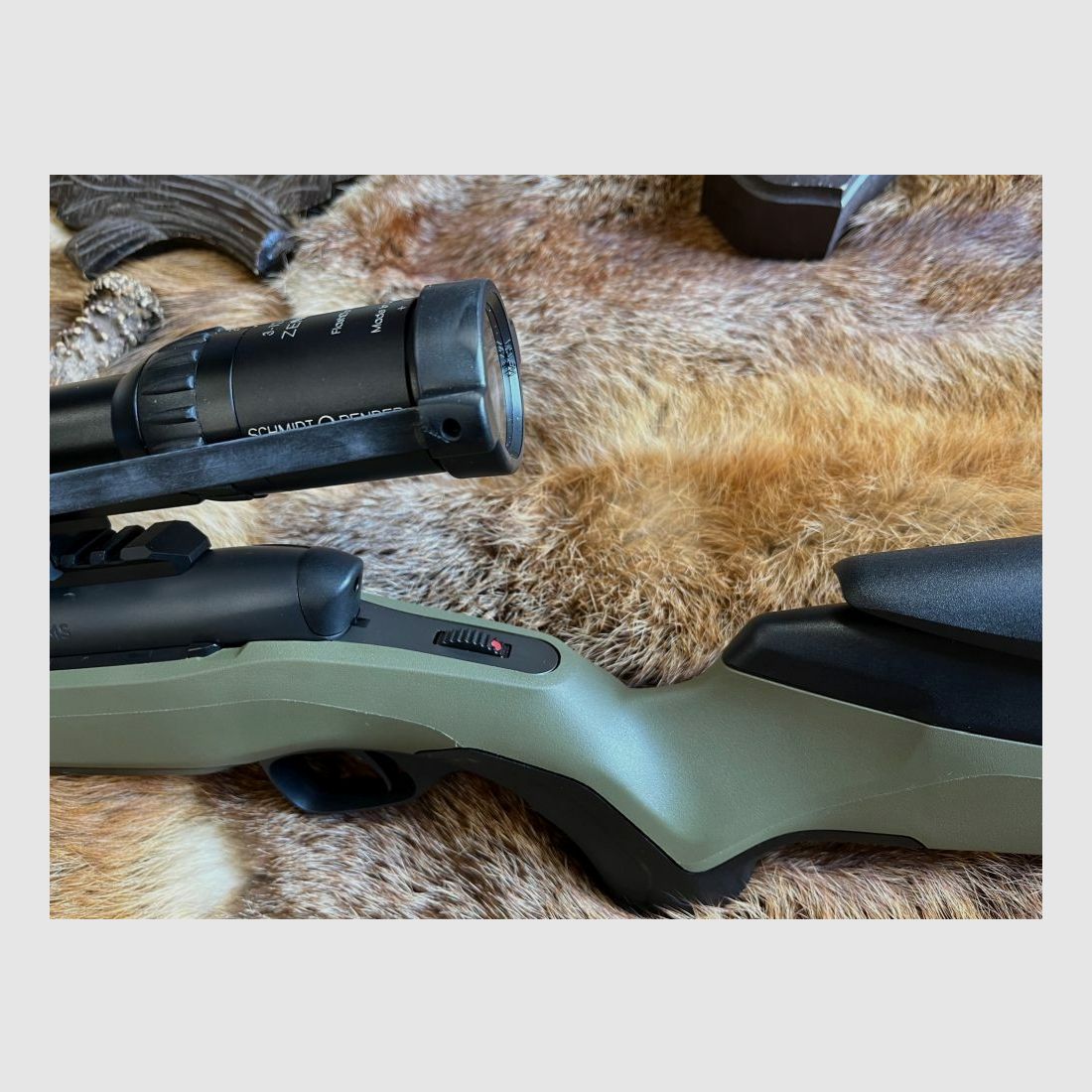 Steyr MS Wild