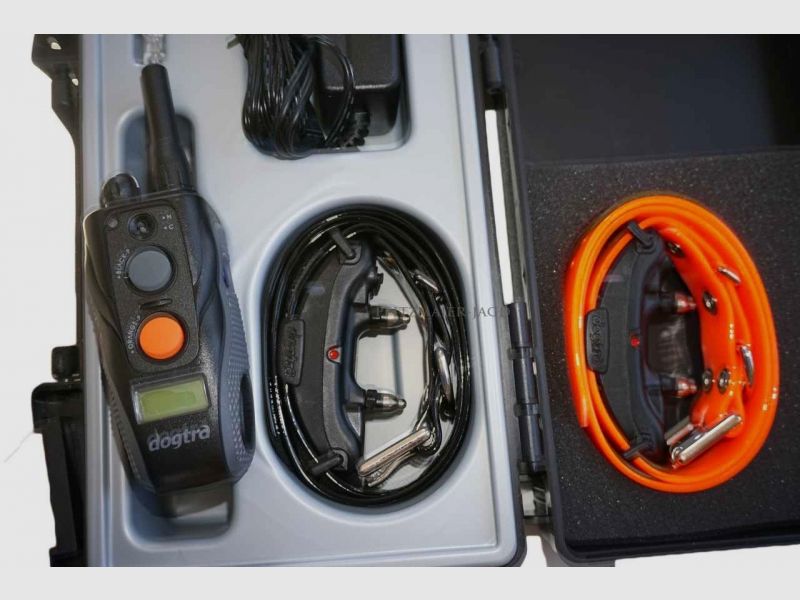 DOGTRA Hundeferntrainer / Teletakt ARC802 für 2 HUNDE NEUWARE