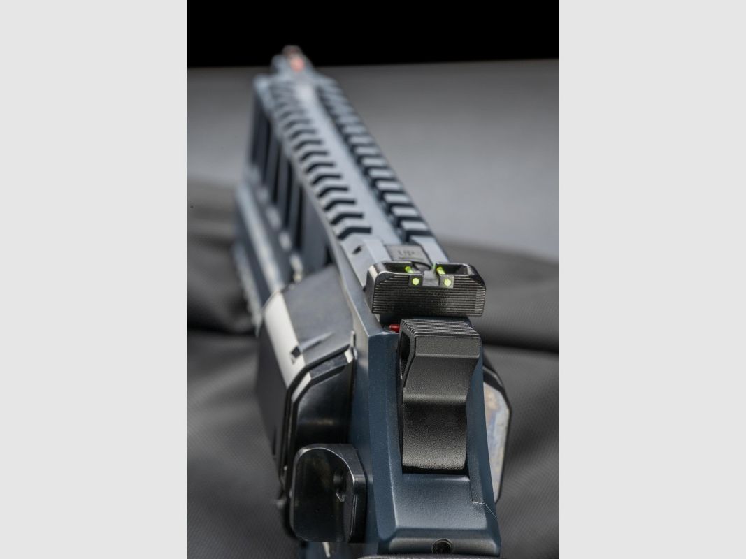 RHINO L-FRAME 60DS LIMITED EDITION BLAU NAVY .44MAG, Bild 7 von 8