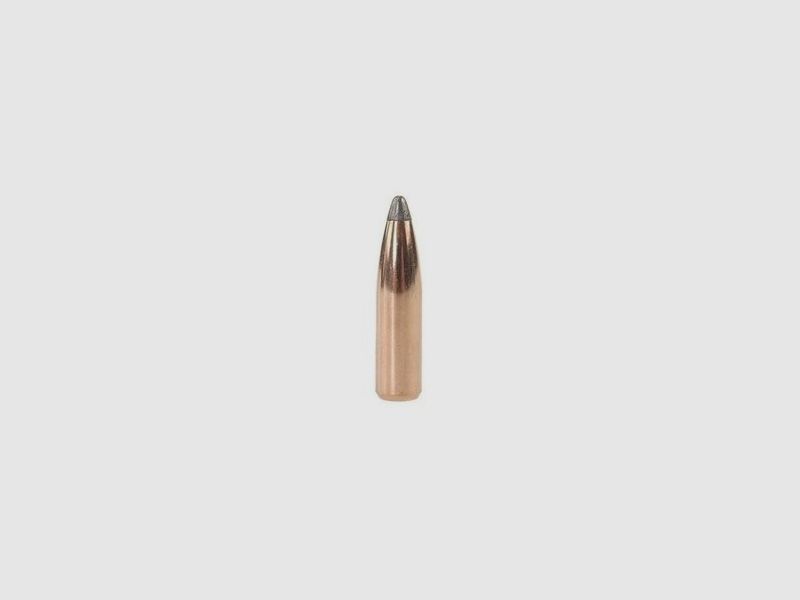 Geschosse Kal. 243/6mm-095gr Spitzer Nosler Partition